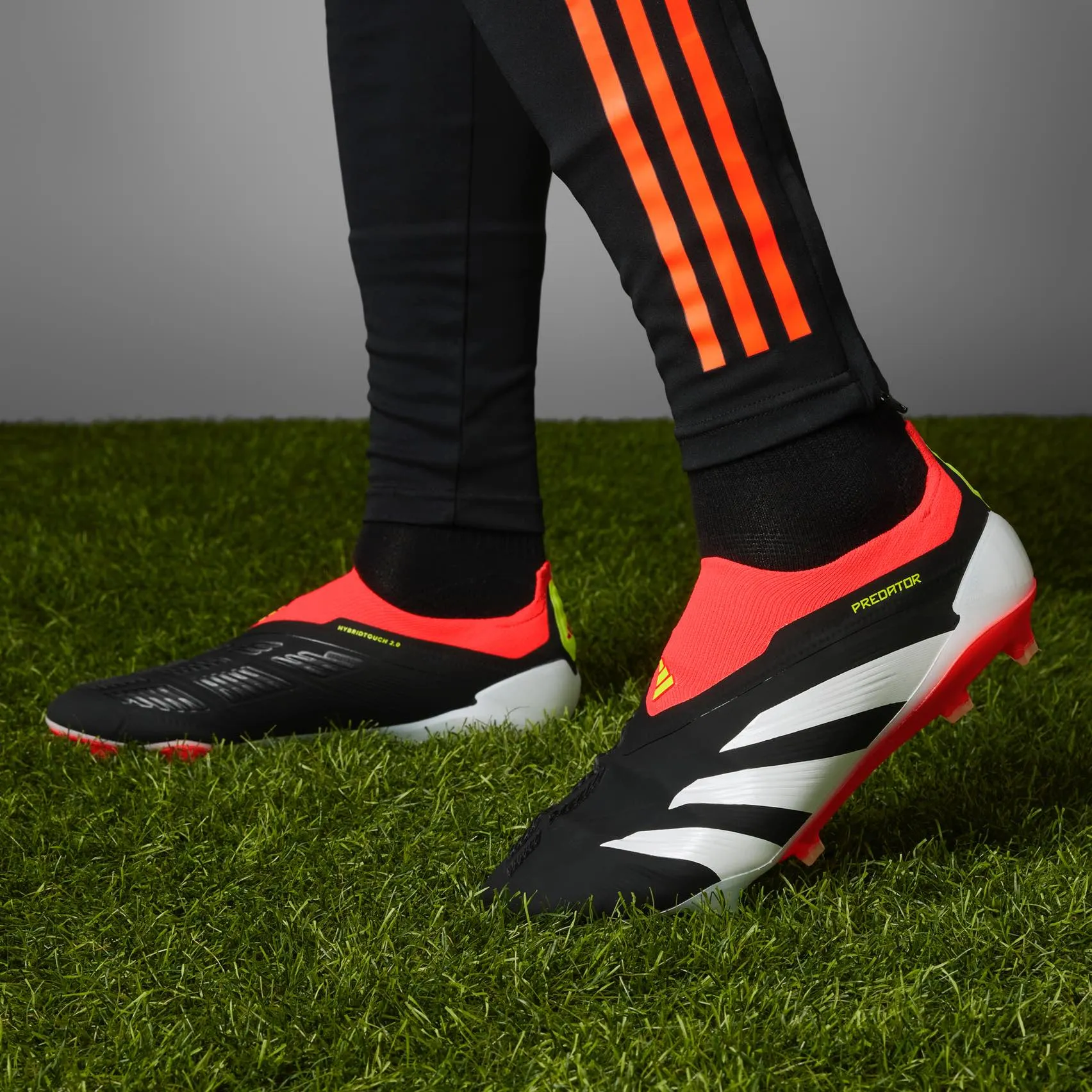 adidas Predator Elite Laceless FG