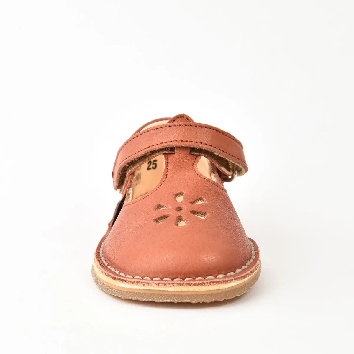 Aster Petits Pas Dingo Rouge Terracotta