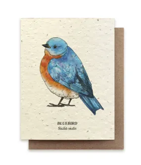 Bluebird Plantable Wildflower Seed Card