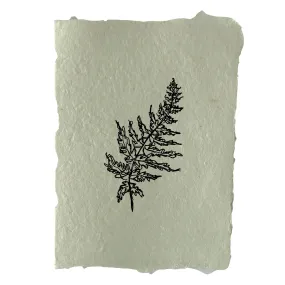 fern art print