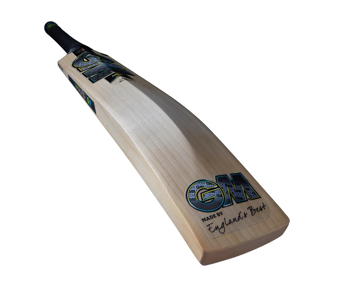 Gunn & Moore Aion Signature Cricket Bat