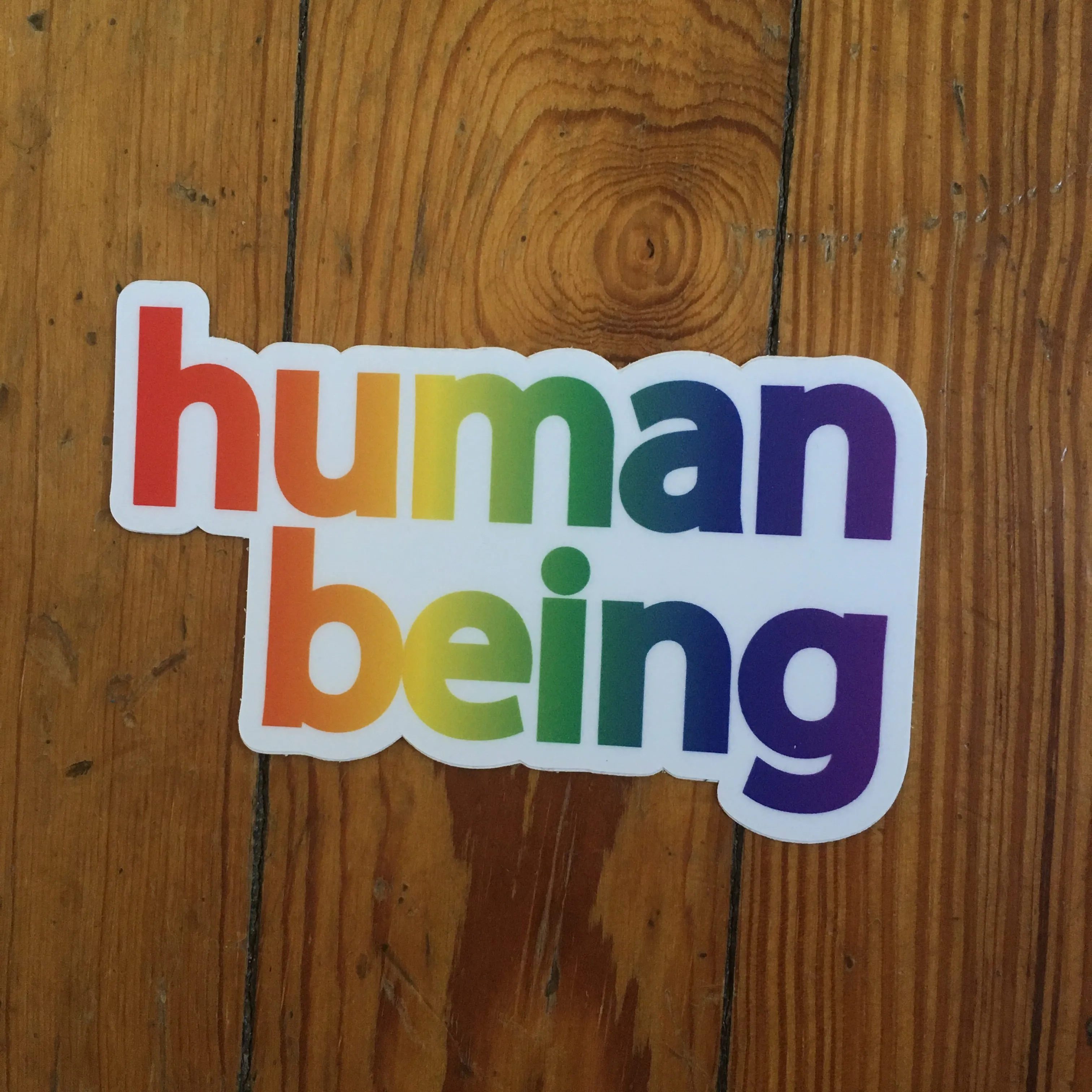 Human Being Pride Sticker