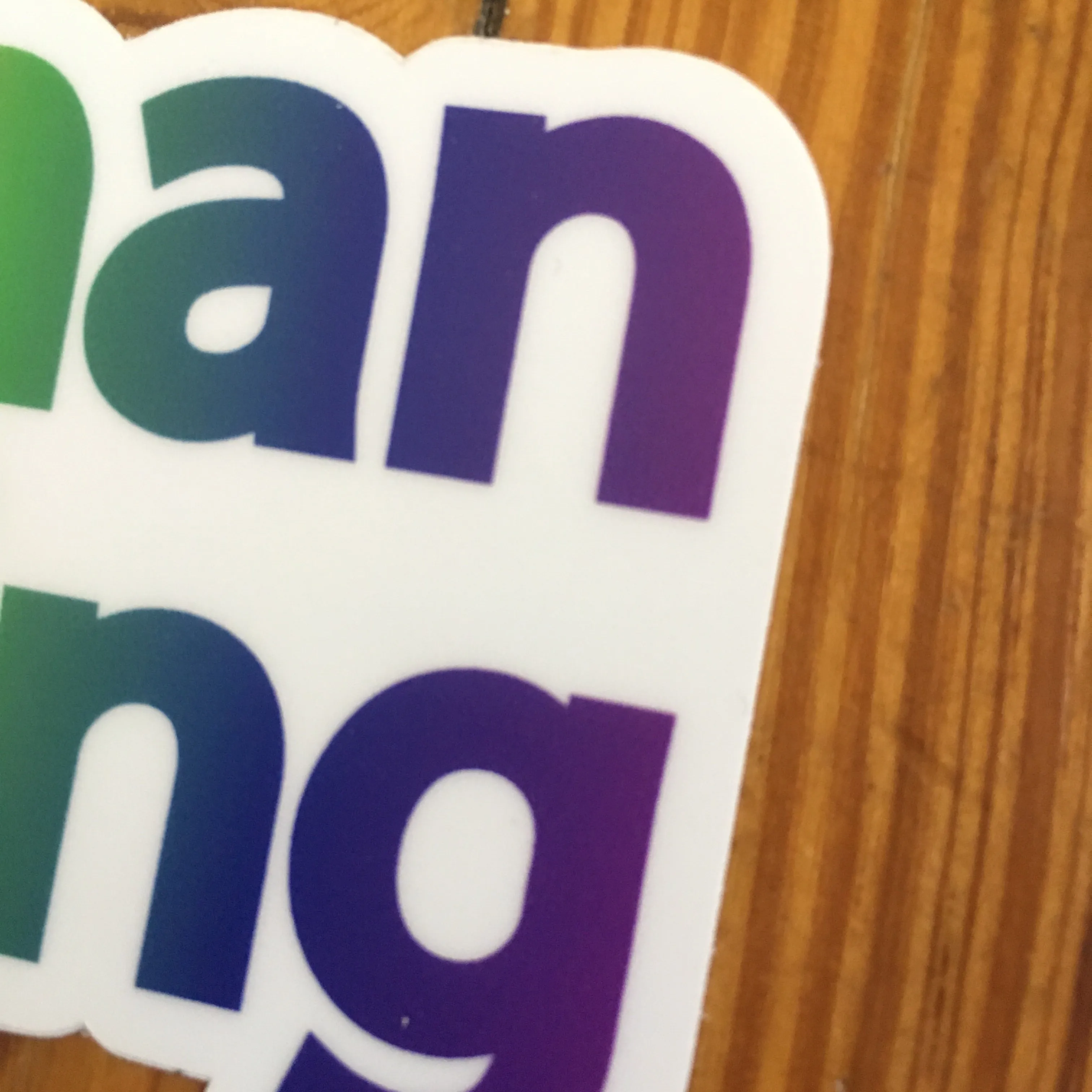 Human Being Pride Sticker