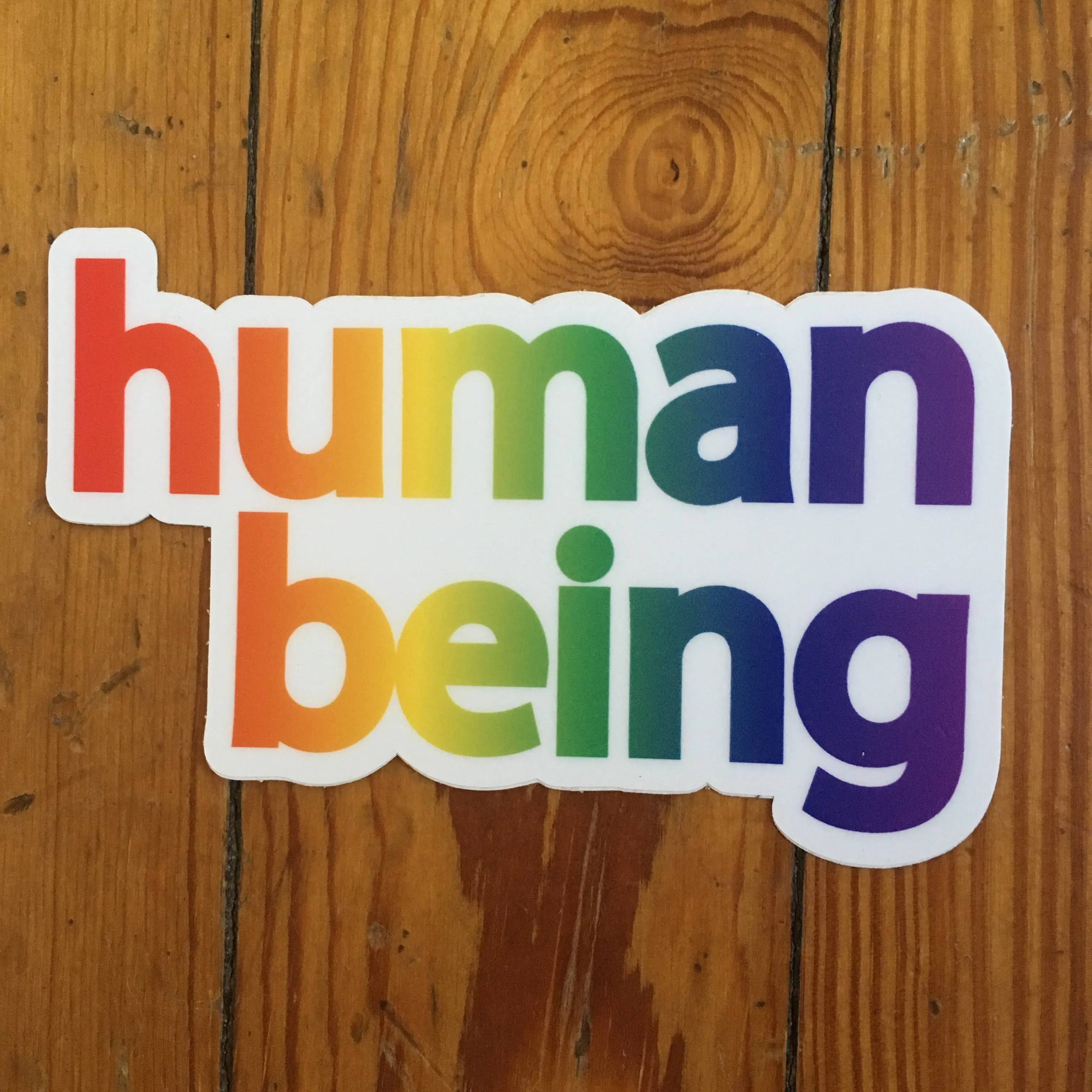 Human Being Pride Sticker