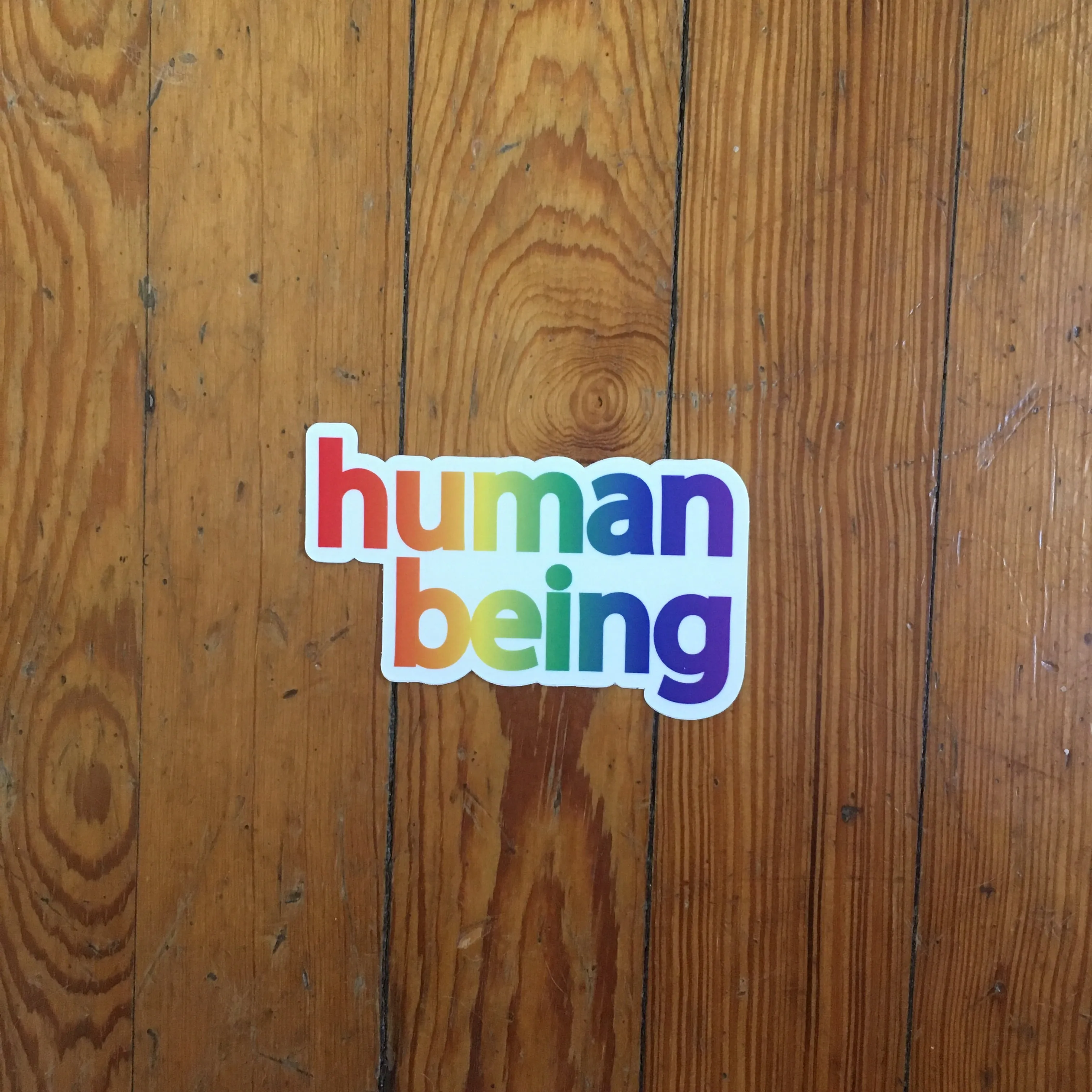 Human Being Pride Sticker