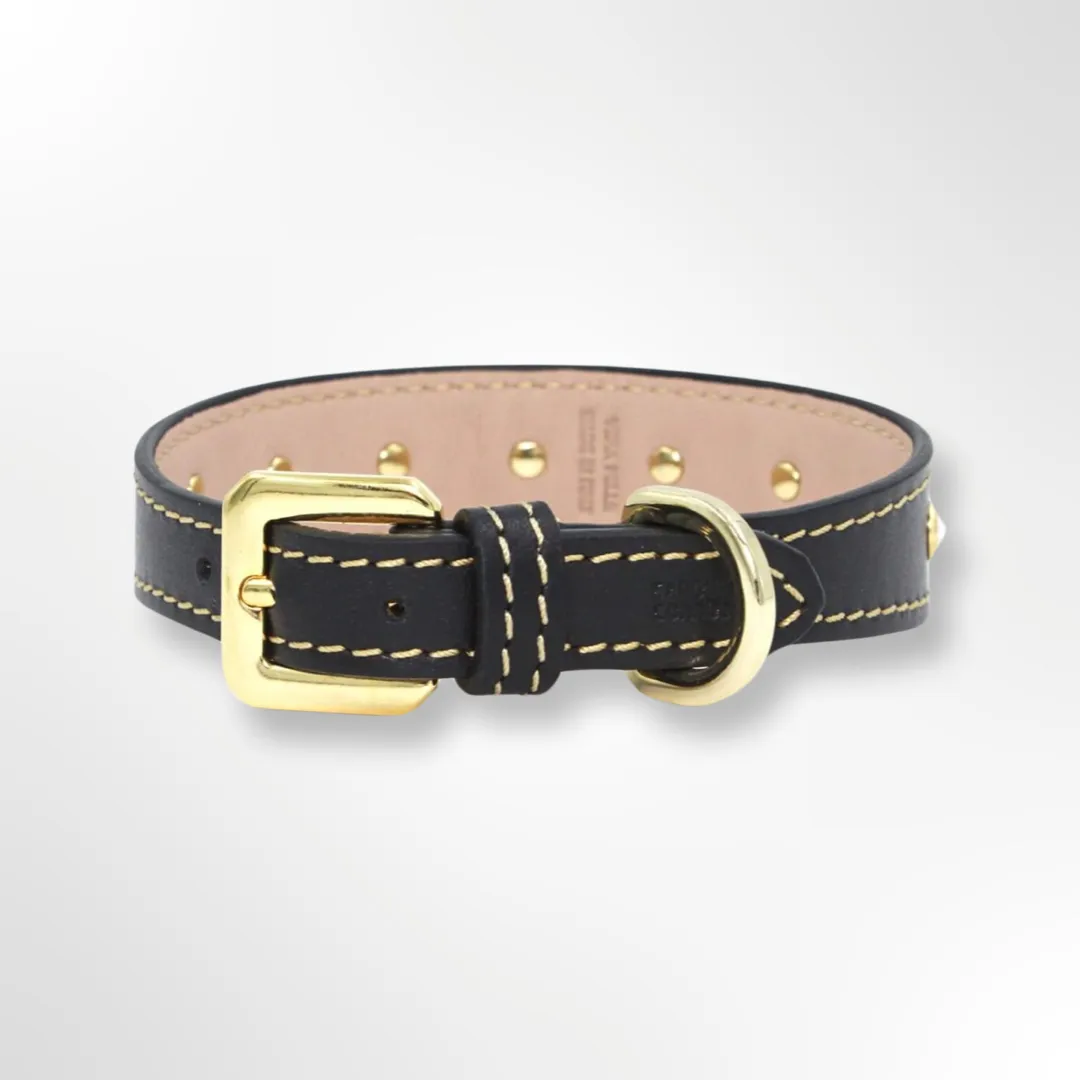 Hundehalsband Leder mit Strasssteinen Gold Edition Marseille Schwarz