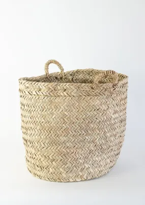 Lexi Basket